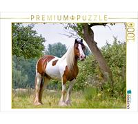 CALVENDO WEH-zet - Puzzle (1000 Piezas, 64 x 48 cm), diseño de Caballos gitanos