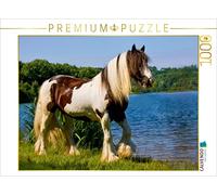 CALVENDO WEH-zet - Puzzle (1000 Piezas, 64 x 48 cm), diseño de Caballos gitanos