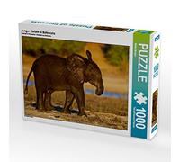 CALVENDO Wibke Woyke - Puzzle (1000 Piezas, 64 x 48 cm), diseño de Elefante Joven en Botswana