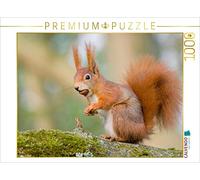 CALVENDO Wilfried Martin - Puzzle (1000 Piezas, 64 x 48 cm), diseño de Ardilla con Avellana en la Boca