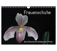 CALVENDO - Zapatos de mujer: las orquídeas más bellas del mundo (calendario de pared 2027 DIN A4 horizontal), calendario mensual: zapatos de mujer: las orquídeas más bellas del mundo