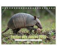 CALVENDO - Zootier del año 2025 - Gürteltier (calendario de escritorio 2027 DIN A5 horizontal), calendario mensual: fascinantes ideas sobre el mundo de los armadillos.