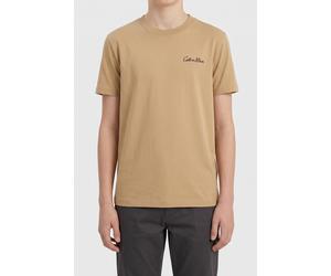Calvin Klein Boys Polaroid S/s T-shirt Sandy Beige Talla: 16 | Camisetas Outlet | kids | Marrón