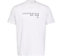 Calvin Klein Camiseta gráfica SS 30S EU Wholesale LV04RF800G para Hombre, Color Blanco, Talla L