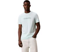 Calvin Klein Camiseta Estampada SS 30S EU SPW Puff Stndrd Graphi LV04LG809G para Hombre, Color Verde (Glacier Mist), Talla M
