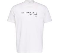 Calvin Klein Camiseta gráfica SS 30S EU Wholesale LV04RF800G para Hombre, Color Blanco, XXS