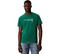 Calvin Klein Camiseta gráfica SS 30S EU Wholesale LV04RF800G para Hombre, Verde, XXL