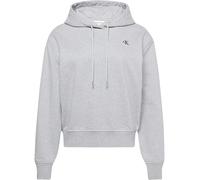 Hoodie Sudadera Capucha Casual_Mujer_CALVIN KLEIN Ls Archive Terry Po Hood - XS