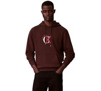 Calvin Klein LS EU 350Terry Graphic Hoodie Lv04Re255G Sudaderas, Brown (Rich Brown), L para Hombre