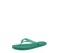 Calvin Klein Beach Thong Slide Hm0hm02105, Chanclas Hombre, Green (Enchanted Forest), 45 EU