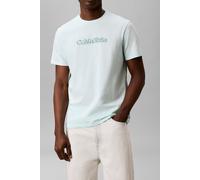 Calvin Klein Ss 30s Puff Graphic Tee Glacier Mist Talla: M | Camisetas Básicas Outlet | Hombre