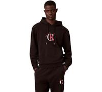 Calvin Klein Sudadera LS EU 350TERRY Graphic Hoodie LV04RE255G para Hombre, Color Negro (Negro), Talla L, Negro (Negro), L