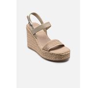 Calvin Klein WEDGE ESPAD 70 WEBBI 40 Gris