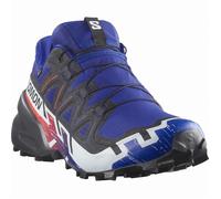 Calzado de hombre Salomon Speedcross 6 Gore-Tex Talla de zapato (EU): 44 2/3 / Color: azul/rojo