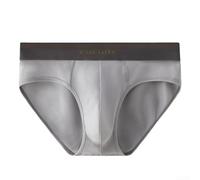 Calzoncillos modal para hombre, paquete de 3, diseño de bolsa transpirable, ropa interior elástica que absorbe el sudor, ajuste cómodo de tiro medio para uso diario y deportes (L gris)