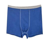 Calzoncillos tipo bóxer de algodón de pierna larga para hombre, de gran tamaño, transparente, azul, L