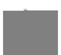 Cama De Caja De Perro - Mascota De Invierno Resistente A La Escalada, Alfombra Caliente, Jaula De Perrera De Coche Lavable | Cómodo Cojín De Perrera De Matrimonio Para La Jaula Coches Viajar A