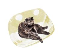 Cama para gatos con ventosa, hamaca para gatos, asiento de ventana interior, estantes para superficies lisas, cama de descanso fuerte para vidrio, mármol, metal, estante para mascotas que ahorra