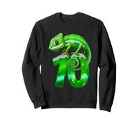 Camaleón para fiesta de cumpleaños número 10 de lagarto para niños de 10 años Sudadera