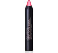 Camaleon Pintalabios Flúor Fucsia 4g