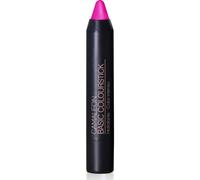 Camaleon Cosmetics Camaleon Basic Colour Metallic Fresa