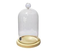 Cámara de ahumador de acrílico resistente para cocinar cócteles artísticos y bandejas decorativas para servir, materiales de poliestireno, cúpula ahumadora para cocina