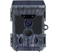Stealth Gear Fox Solar 4K Wifi Wildcam
