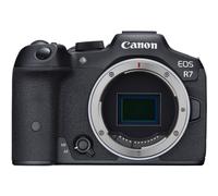 Cámara sin espejo Canon EOS R7 (sólo cuerpo)