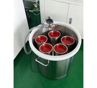 Cámaras de Vacío Cámara de Presión para Moldeo de Resina de 30 L, 20 L, 50 L y 60 L, Olla de Vacío para Epoxis Sin Bomba, Desgasificador