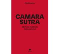 camarasutra: manual ilustrado del postureo