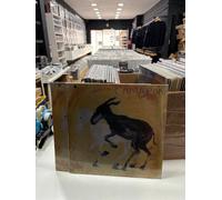 CAMARON LP POTRO DE RABIA Y MIEL 2025 SEALED