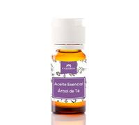 Camassia Aceite esencial árbol de té (Melaleuca Alternifolia) | Aceites esenciales | 100% natural y puro - Origen Australia | 250ml