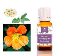 Camassia Activo Anticaspa y Anticaída | Principios activos naturales | Grandes propiedades: cicatrizante, antiflogística, antialérgica y antiséptica. | 250ml