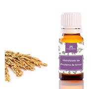 Camassia Hidrolizado de Proteína de Arroz | Principios activos naturales | Potente antiarrugas con efecto tensor inmediato | 100ml