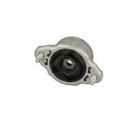 Camber Puntal Cojinetes Trasero Izquierdo para Mercedes-Benz Clase C T-Model