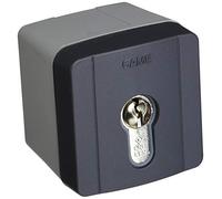 came Selector con llave de Externo