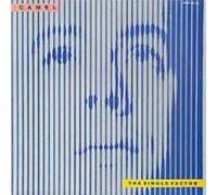 CAMEL - The Single Factor