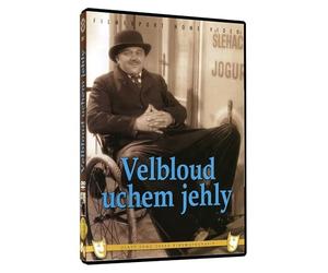 Camel Through the Eye of a Needle / Velbloud uchem jehly