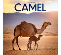 Camels Calendar 2026: Wildlife Photography of Desert Camels & Caravans