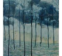 Camera Obscura - Desire Lines [Vinilo]