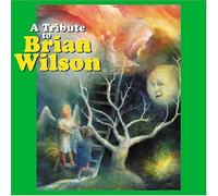 Cameron Michael Parkes - Tribute to Brian Wilson