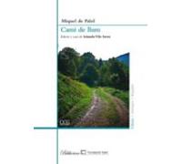 Cami De Llum