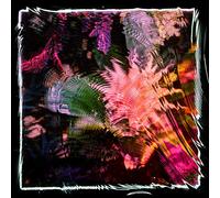 Camila Fuchs - Kids Talk Sun - Vinyle Jaune Soleil [Vinilo]