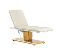 Camilla de estética - 3 motores - 300 W - 190 x 65 x 60 - 76 cm - 200 kg - crema/dorado | physa