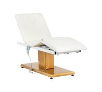 Camilla de estética - 300 W - 190 x 65 x 60 - 73 cm - 200 kg - blanca/dorada | physa