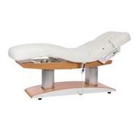 Camilla de SPA, estética y masaje Troch de tres cuerpos con calefacción: Eléctrica con cuatro motores que regulan la altura y la inclinación del respaldo
