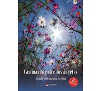 Caminando entre los ángeles (SIN COLECCION)