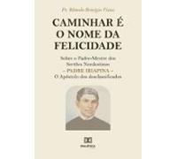 Caminhar É O Nome Da Felicidade (ebook)