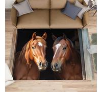 Camino de cocina con diseño de caballo de granero, 80 x 150 cm, estilo vintage, alfombra antideslizante y antifatiga para pasillo, entrada, pasillo