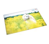 Camino Diseño de vade, color Pferd im Rapsfeld